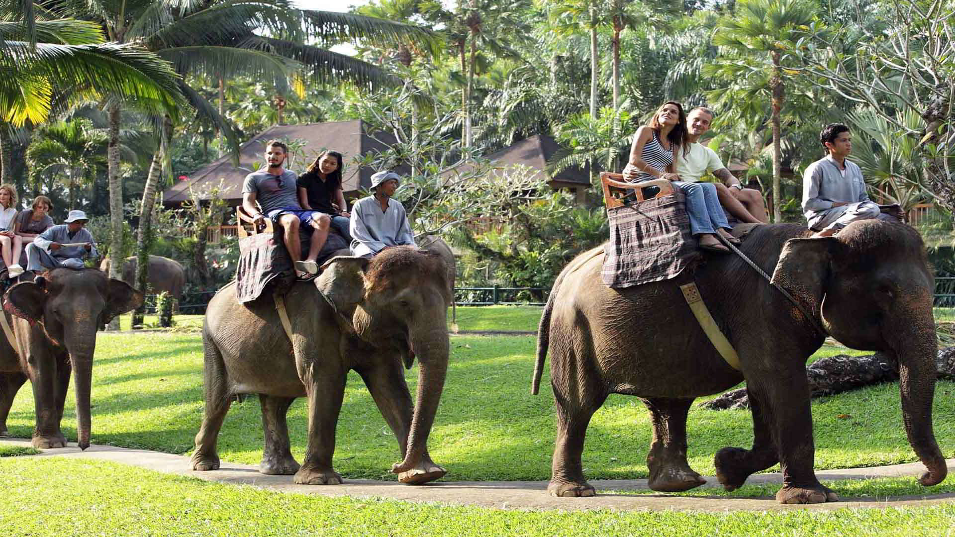 Bali Elephant And Horse Ride Tour